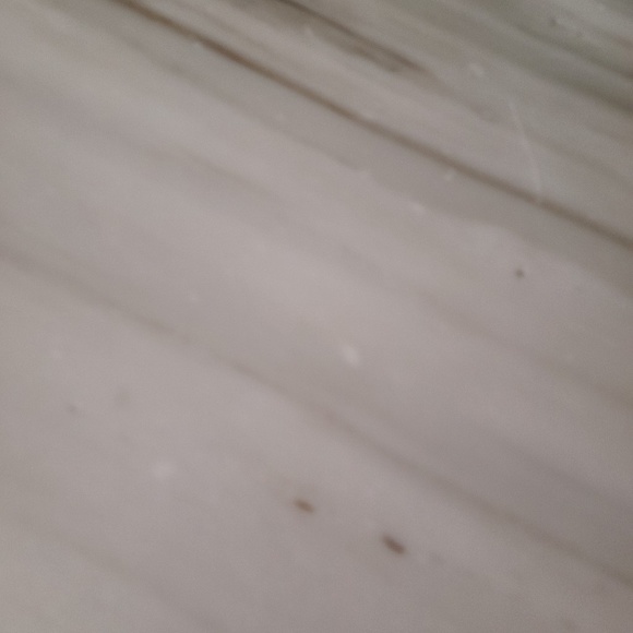 Meet your Posher, Tanya - Picture 1 of 1